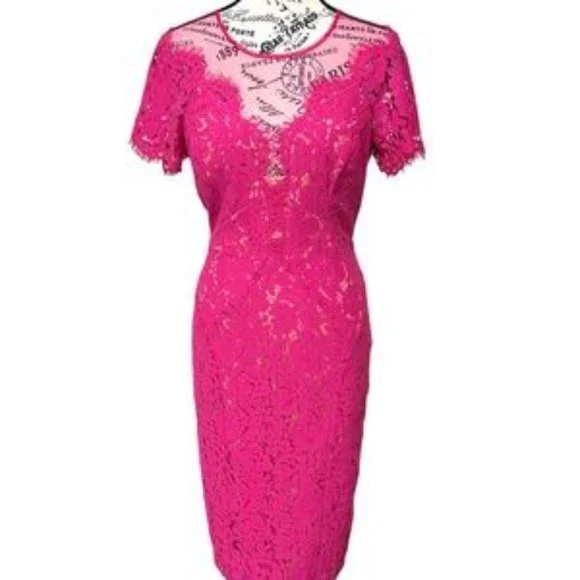 Rene Ruiz Collection pink lace nude sheath dress size 8 - Picture 3 of 5